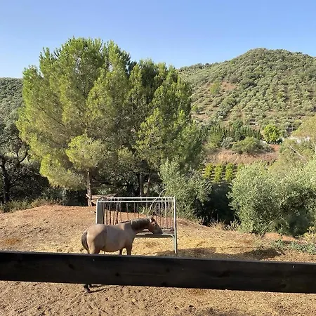Menestrales Casa rural Lora del Río